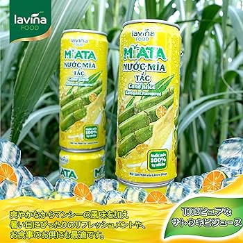 ジュース('92米) ゼログランド アウトペース III オール テレイン ランナー